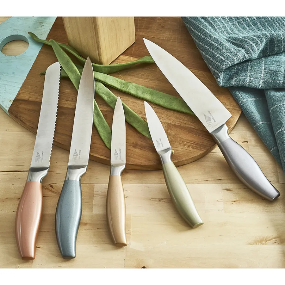 New Pradel France Bloc 5 couteaux métallisés