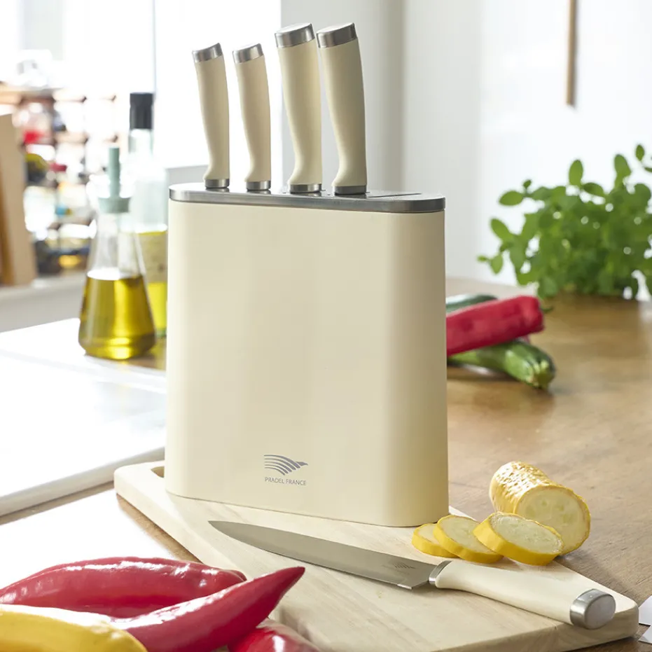 Hot Pradel France Bloc 5 couteaux vintage