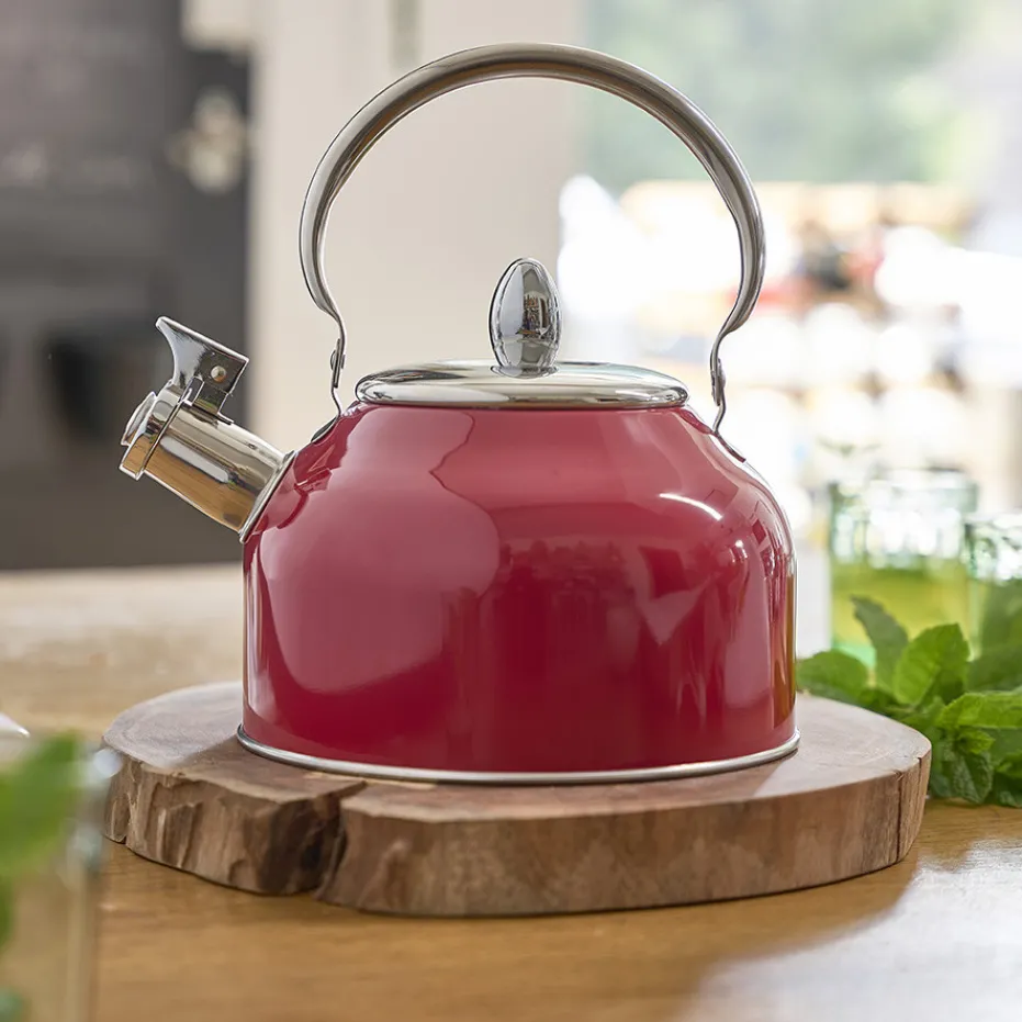 Flash Sale Pradel France Bouilloire à sifflet