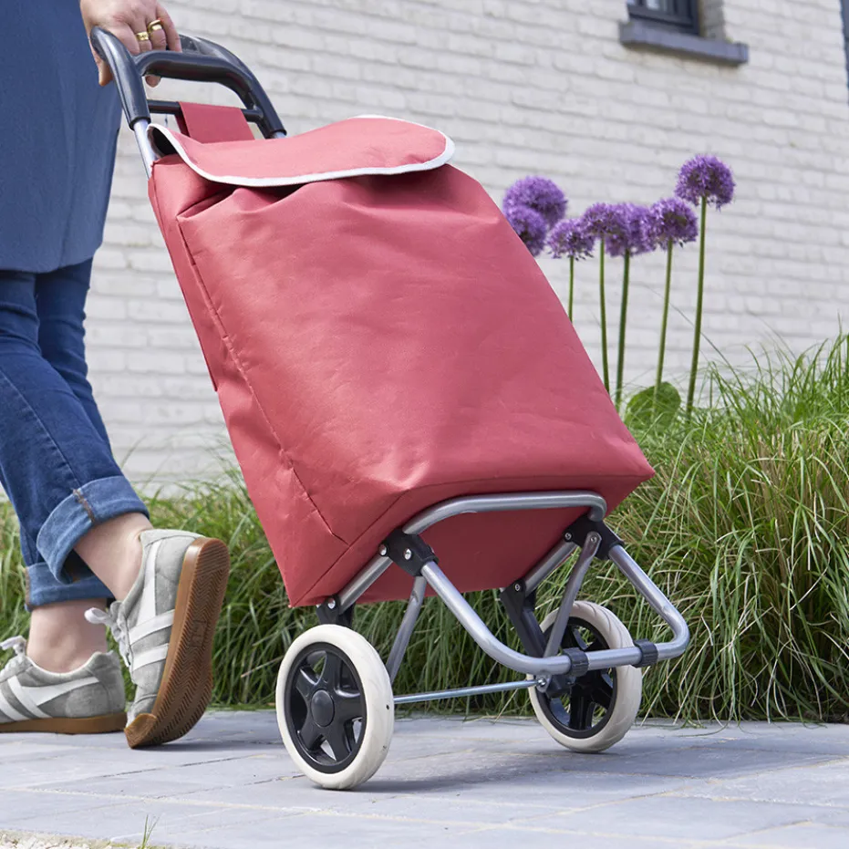 Flash Sale Pradel France Chariot de courses avec 2 sacs interchangeables
