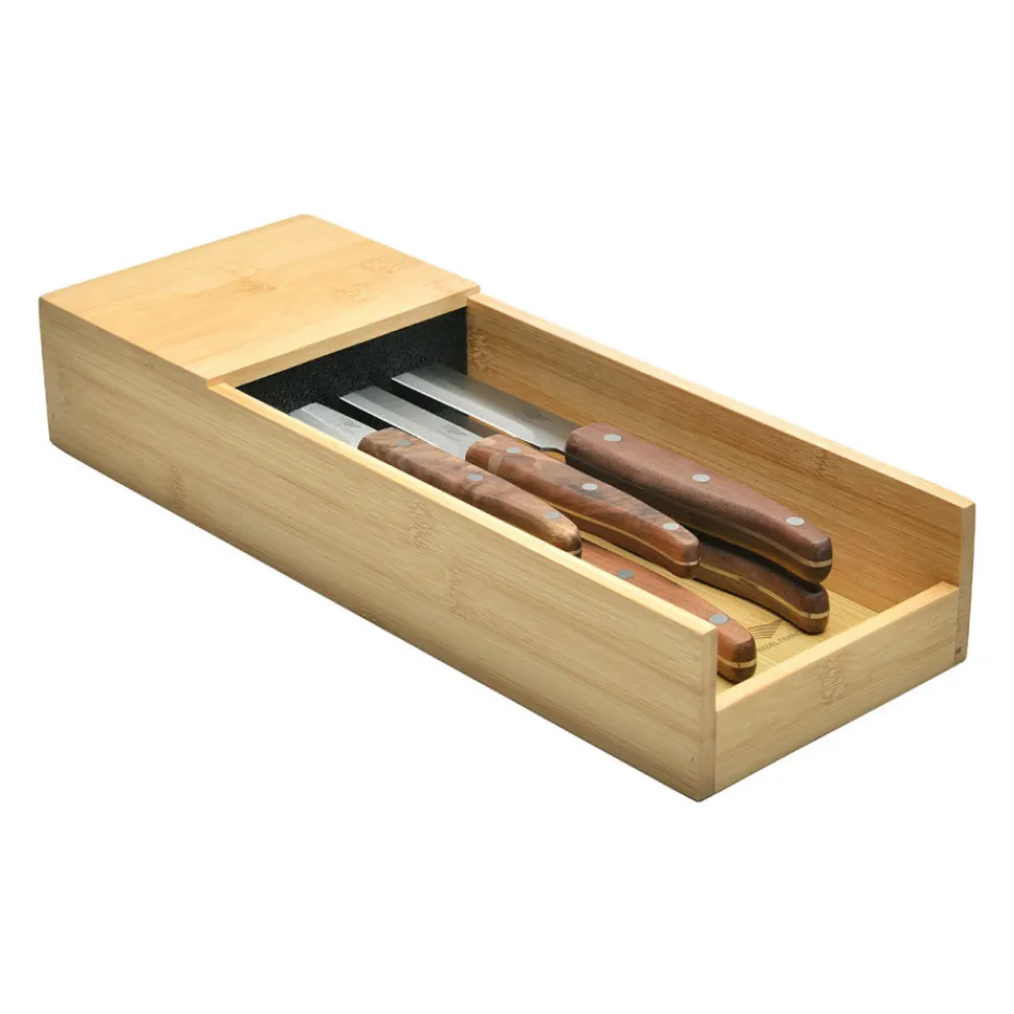 New Pradel France Le lot de 5 couteaux + le range-couteaux pour tiroir