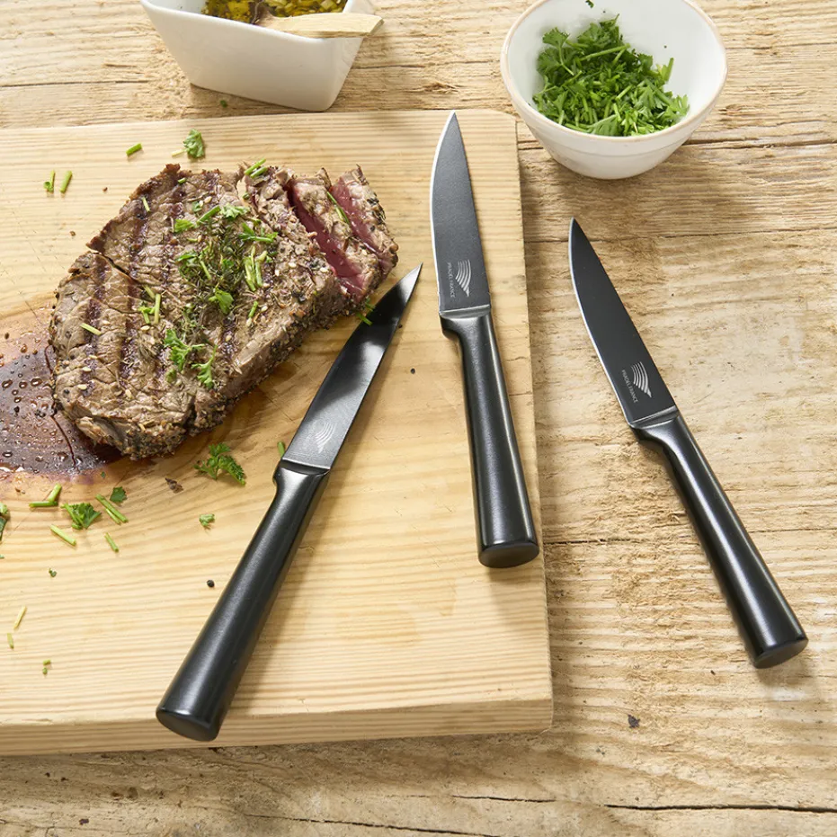 Sale Pradel France Lot de 6 couteaux à steak tout inox noir