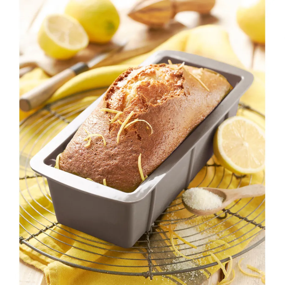 Outlet Pradel France Moule à cake en silicone